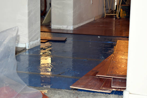 Professional Burst Pipe Cleanup technician working in Lanham, MD